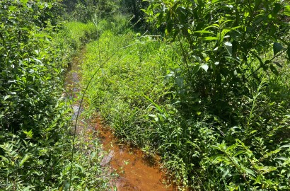 Ótima área rural para venda em Dom Viçoso MG