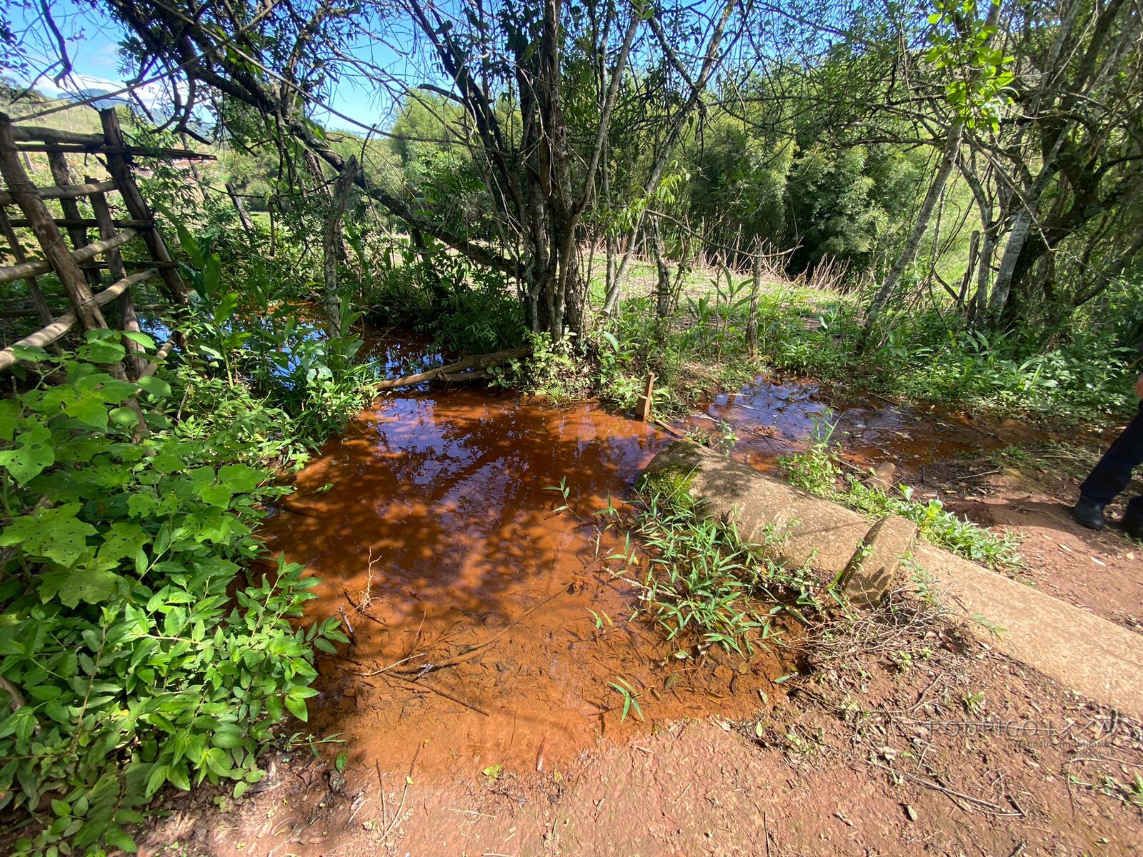 Ótima área rural para venda em Dom Viçoso MG