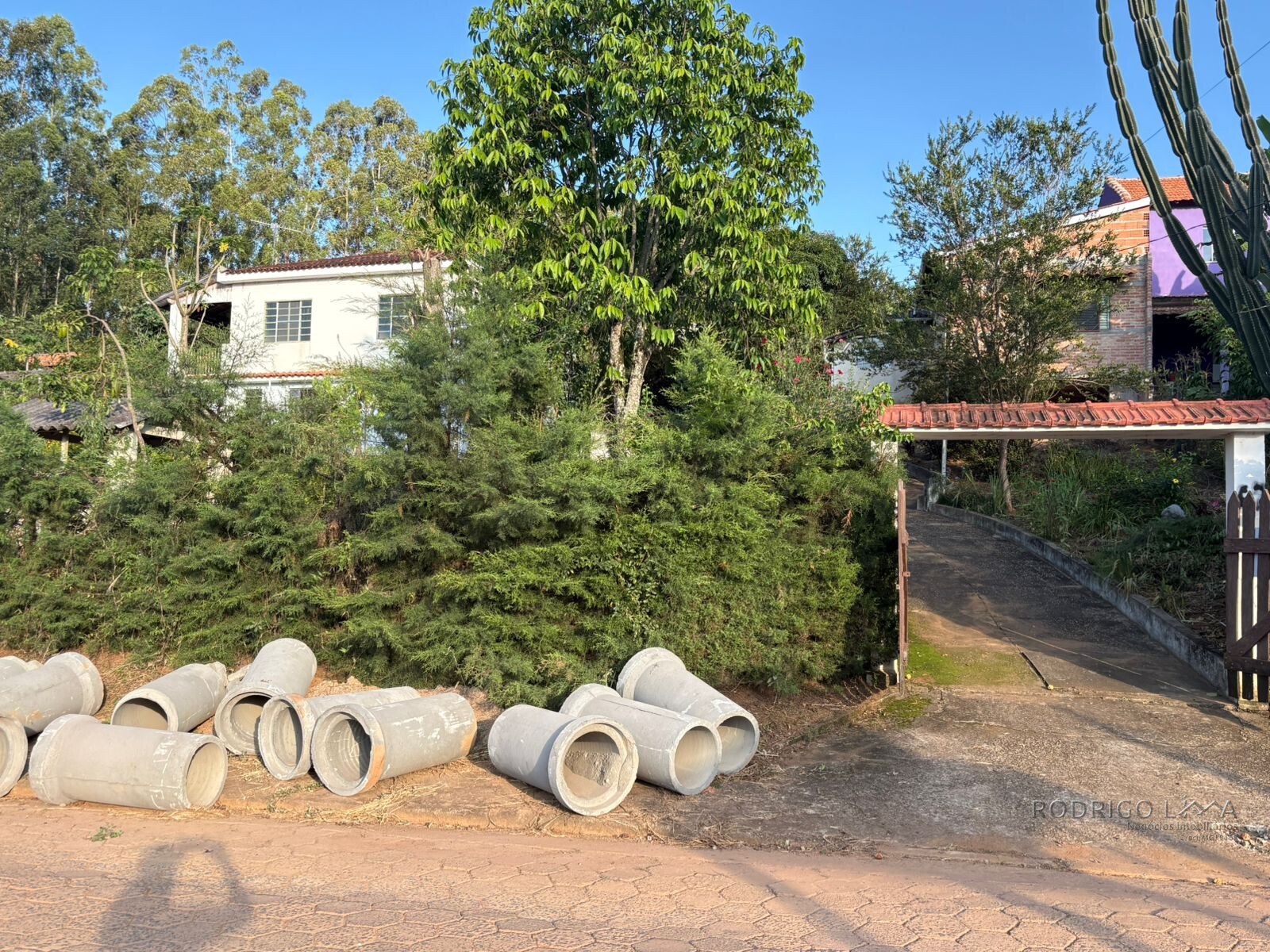 Propriedade Rural para venda em Dom Viçoso MG