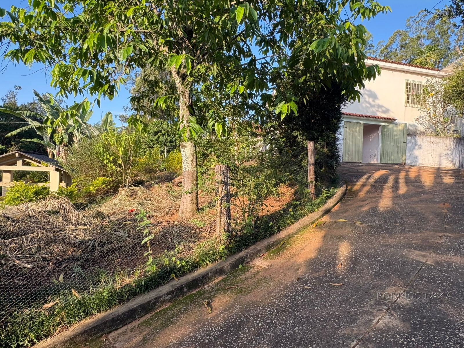 Propriedade Rural para venda em Dom Viçoso MG