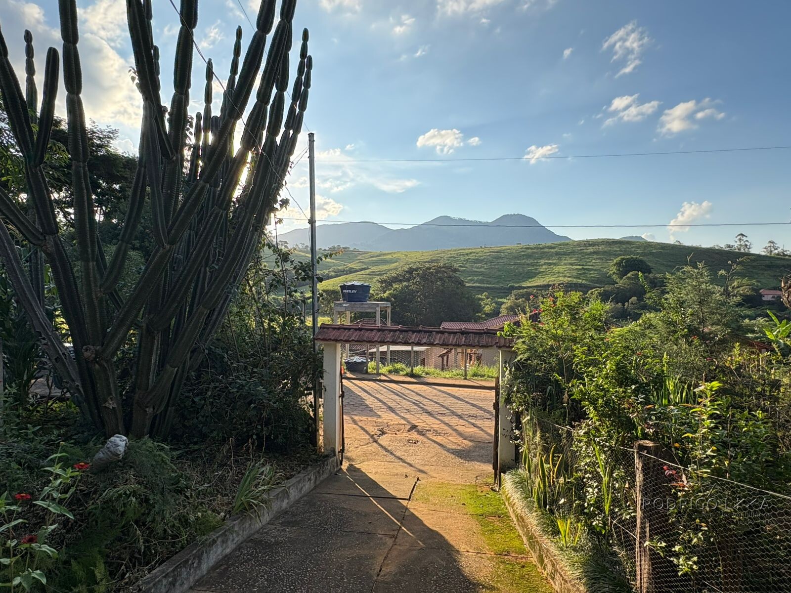 Propriedade Rural para venda em Dom Viçoso MG