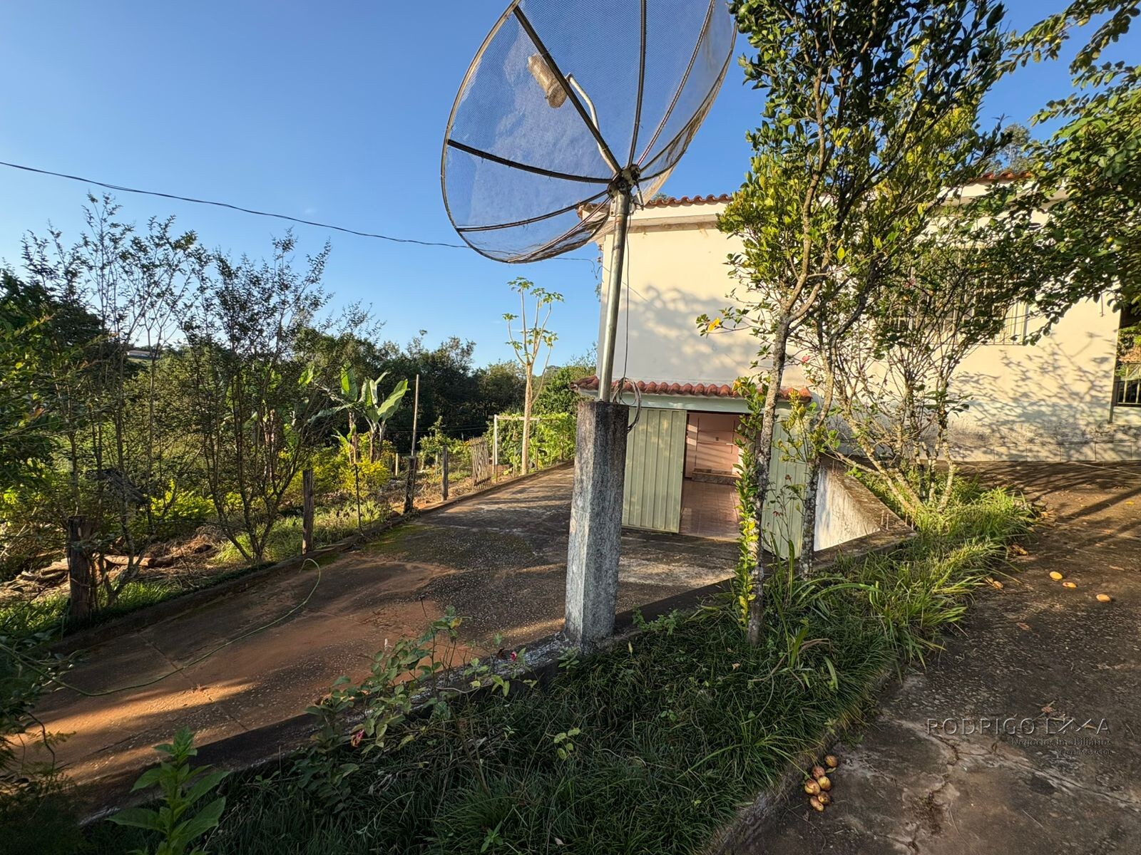 Propriedade Rural para venda em Dom Viçoso MG