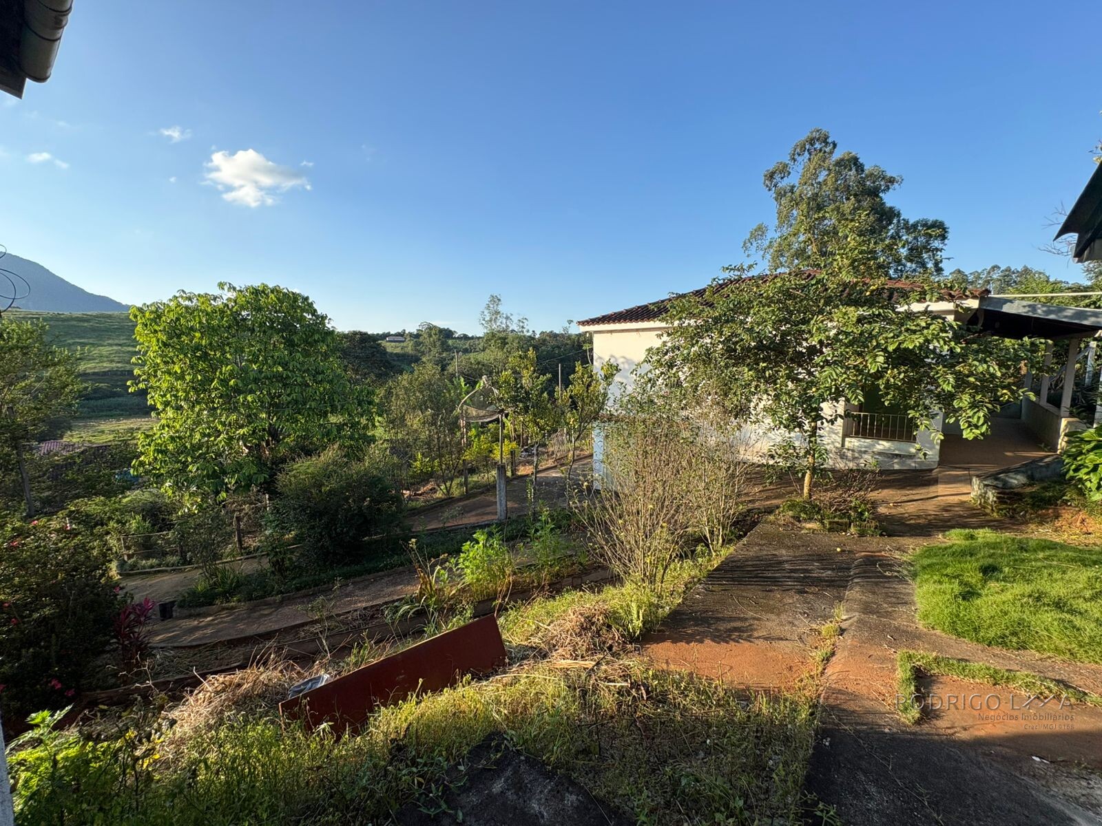 Propriedade Rural para venda em Dom Viçoso MG