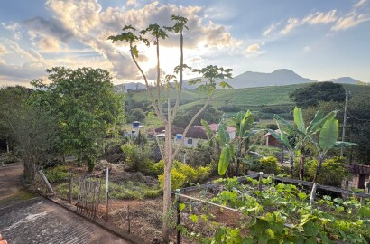 Propriedade Rural para venda em Dom Viçoso MG