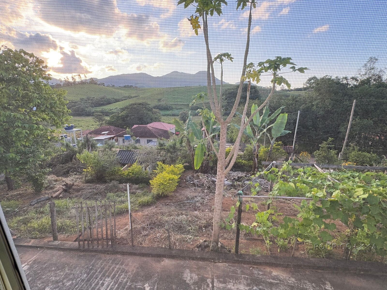 Propriedade Rural para venda em Dom Viçoso MG