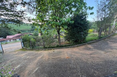 Propriedade Rural para venda em Dom Viçoso MG