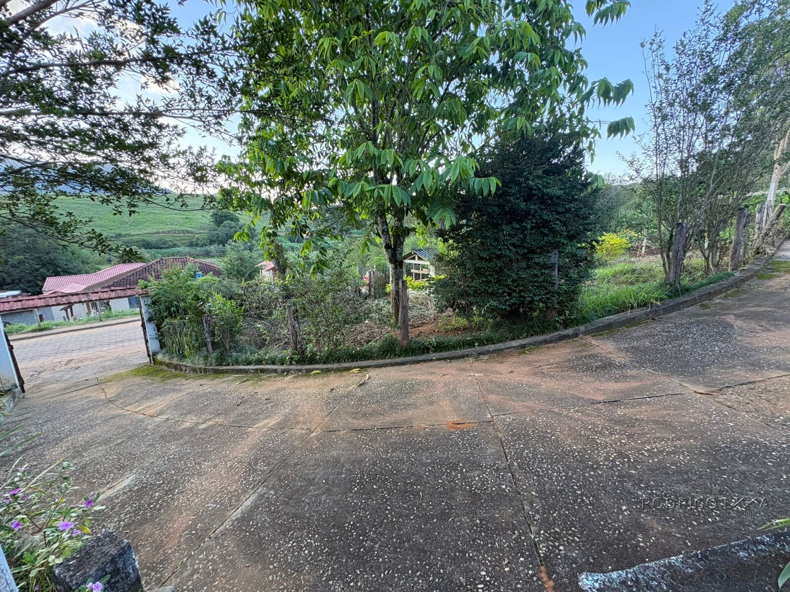 Propriedade Rural para venda em Dom Viçoso MG