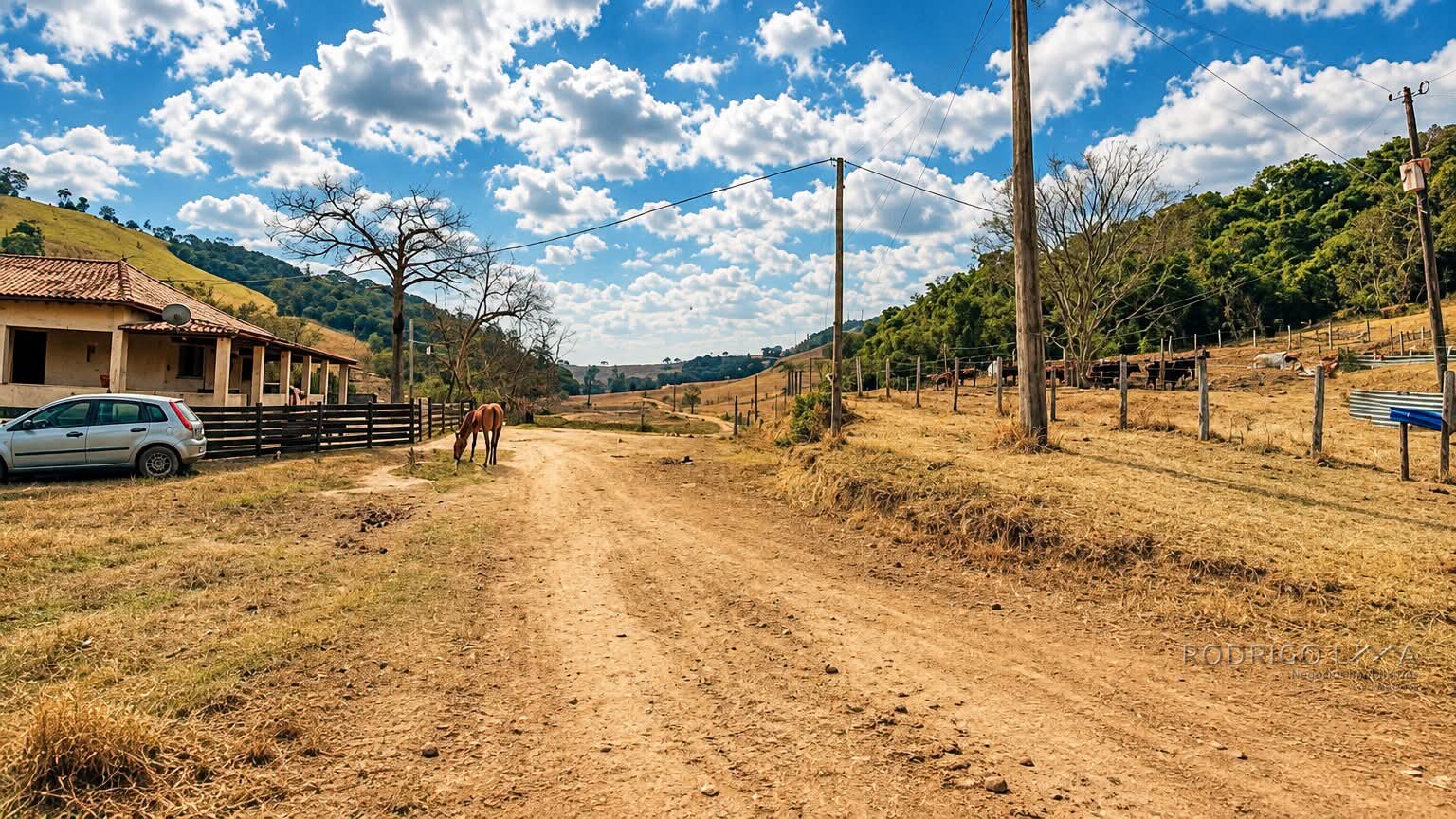 Fazenda para venda na região de São Gonçalo do Sapucaí MG