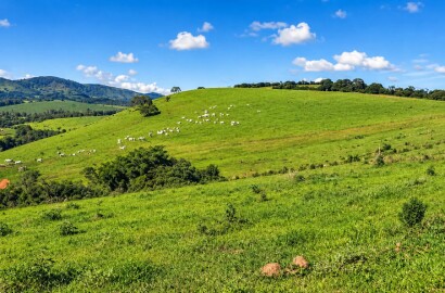 Fazenda para venda na região de São Gonçalo do Sapucaí MG
