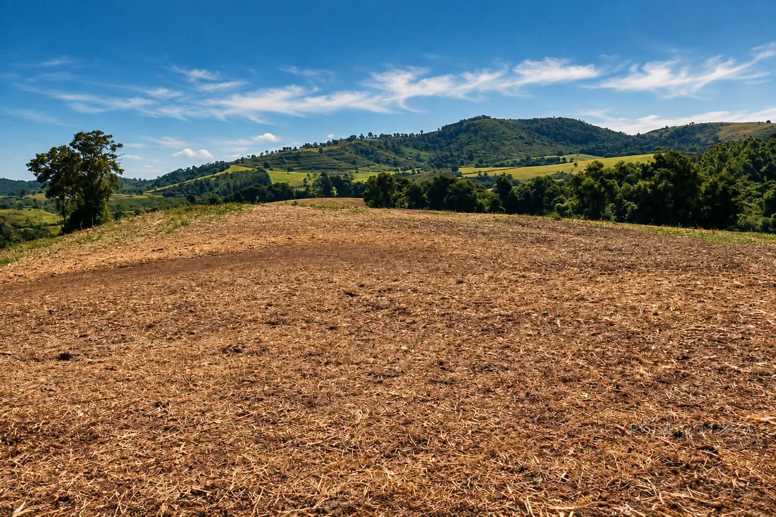 Fazenda para venda na região de São Gonçalo do Sapucaí MG
