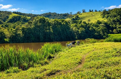 Fazenda para venda na região de São Gonçalo do Sapucaí MG