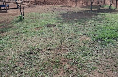 Chácara para venda em Pouso Alto MG