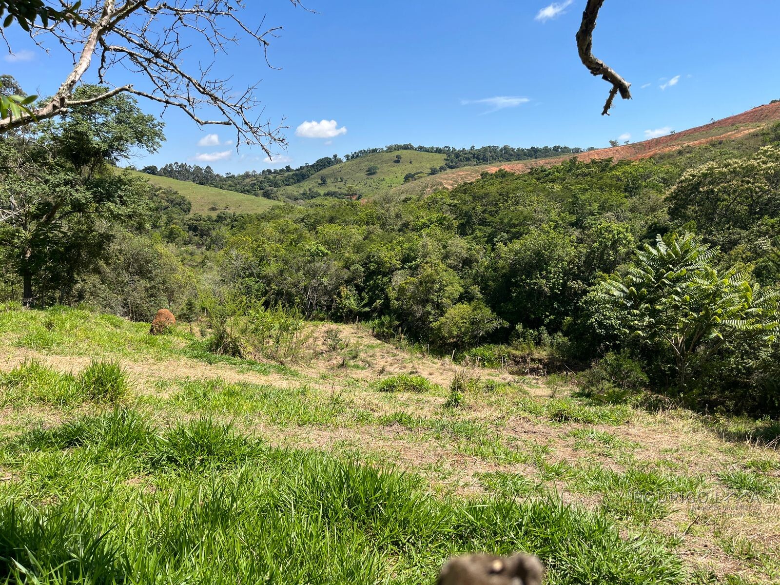 Chácara para venda 20 minutos de São Lourenço MG