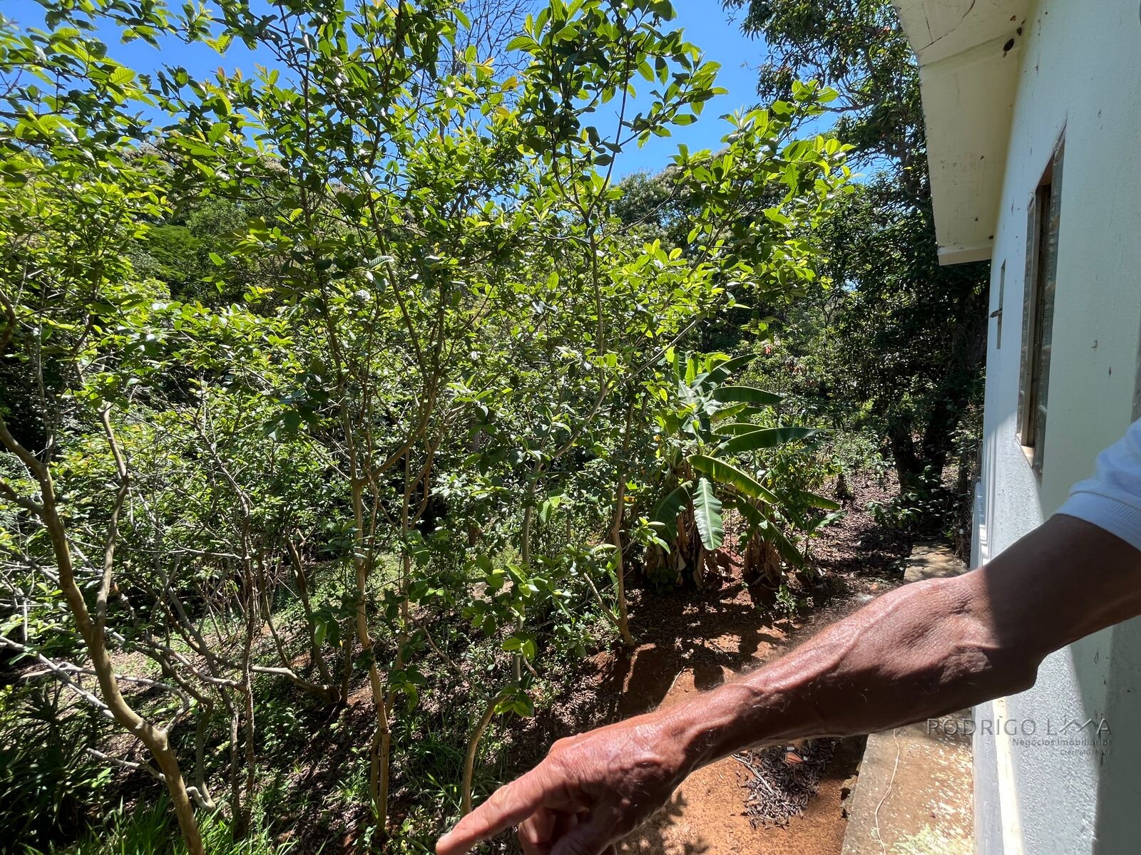 Chácara para venda 20 minutos de São Lourenço MG