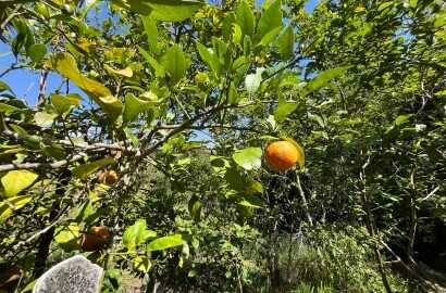 Chácara para venda 20 minutos de São Lourenço MG
