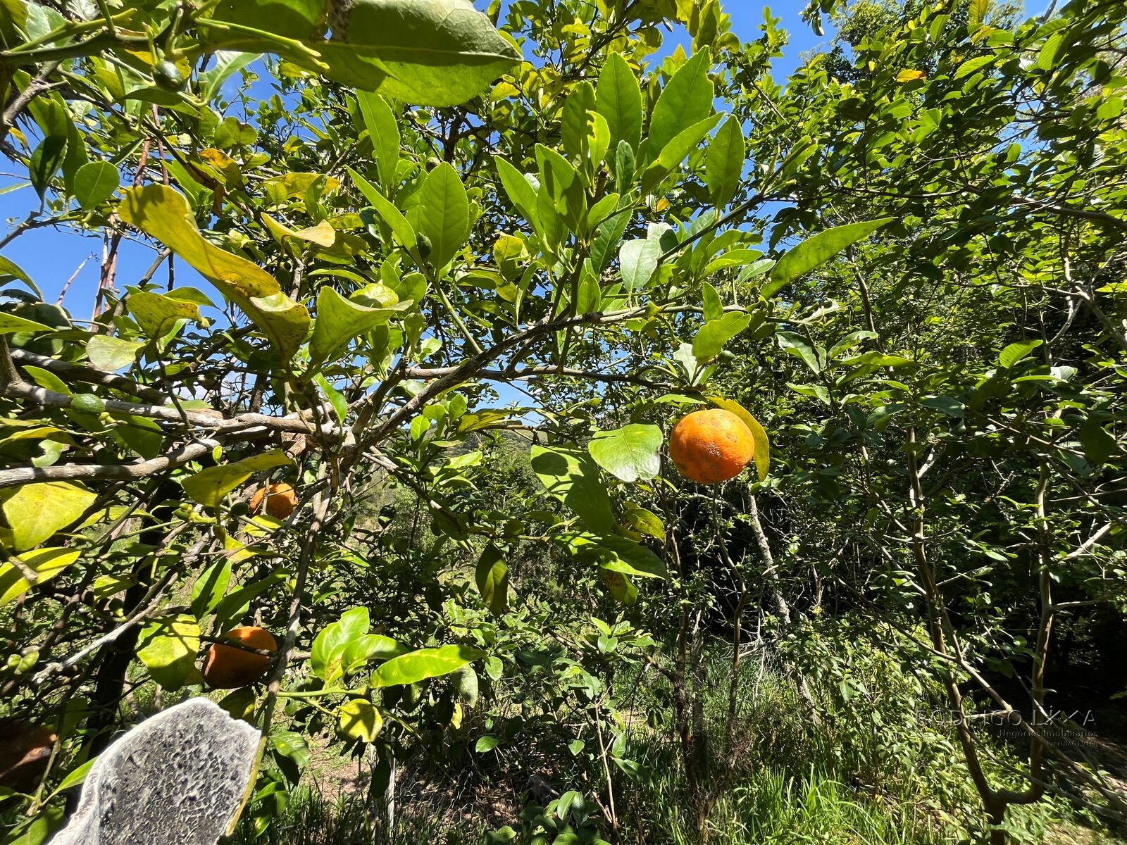 Chácara para venda 20 minutos de São Lourenço MG