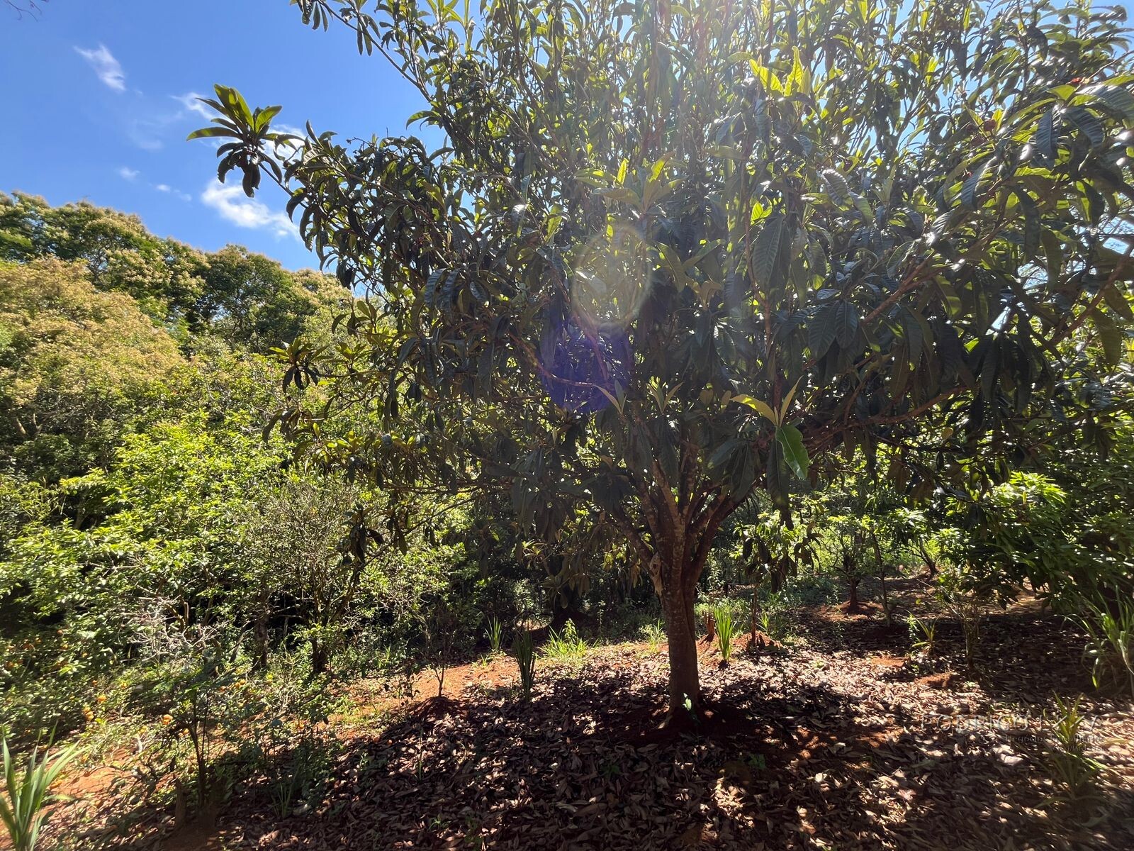 Chácara para venda 20 minutos de São Lourenço MG