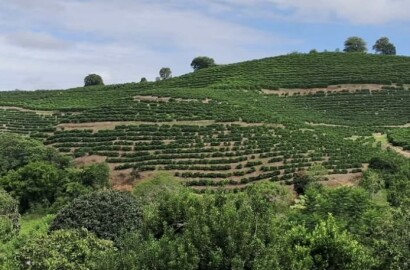 Fazenda para venda em Carmo de Minas - MG