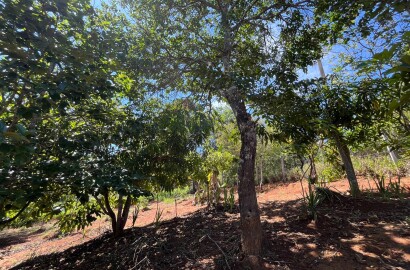 Chácara para venda 20 minutos de São Lourenço MG