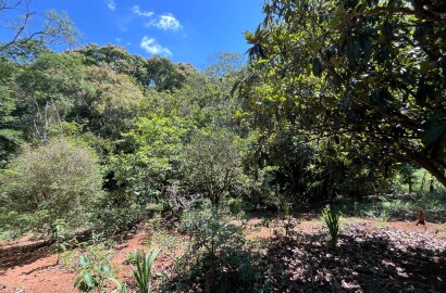 Chácara para venda 20 minutos de São Lourenço MG