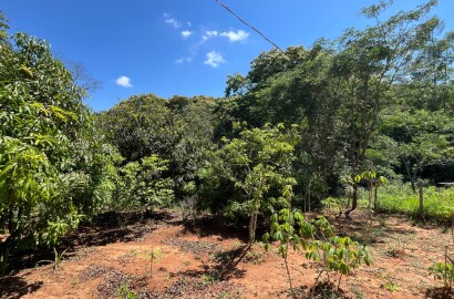 Chácara para venda 20 minutos de São Lourenço MG
