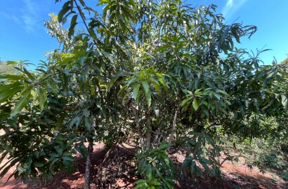 Chácara para venda 20 minutos de São Lourenço MG