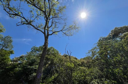 Chácara para venda 20 minutos de São Lourenço MG