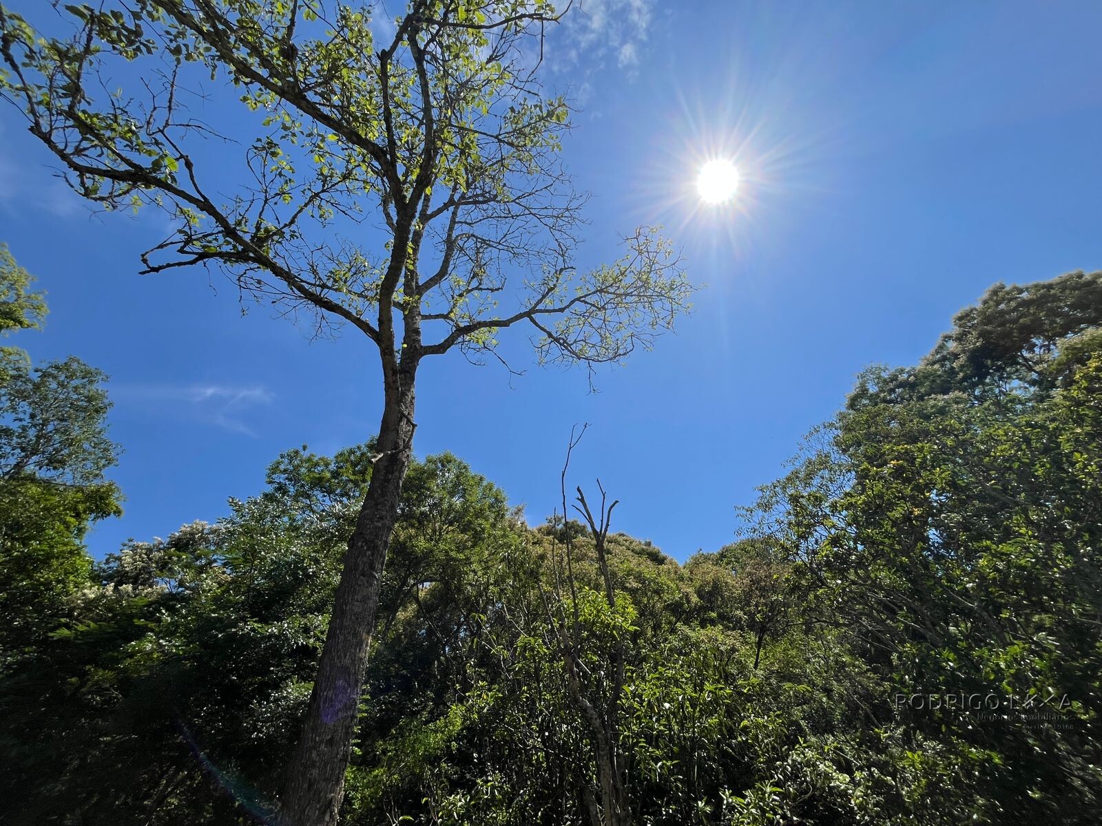 Chácara para venda 20 minutos de São Lourenço MG