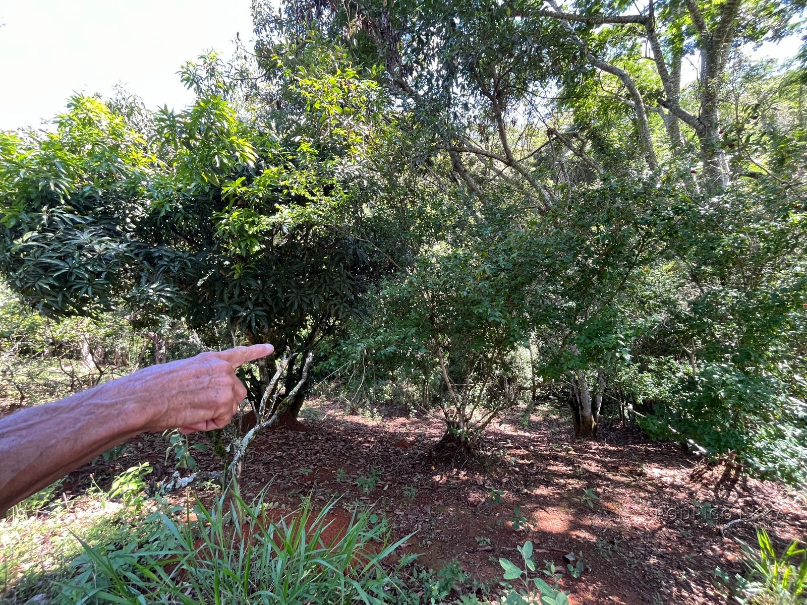 Chácara para venda 20 minutos de São Lourenço MG
