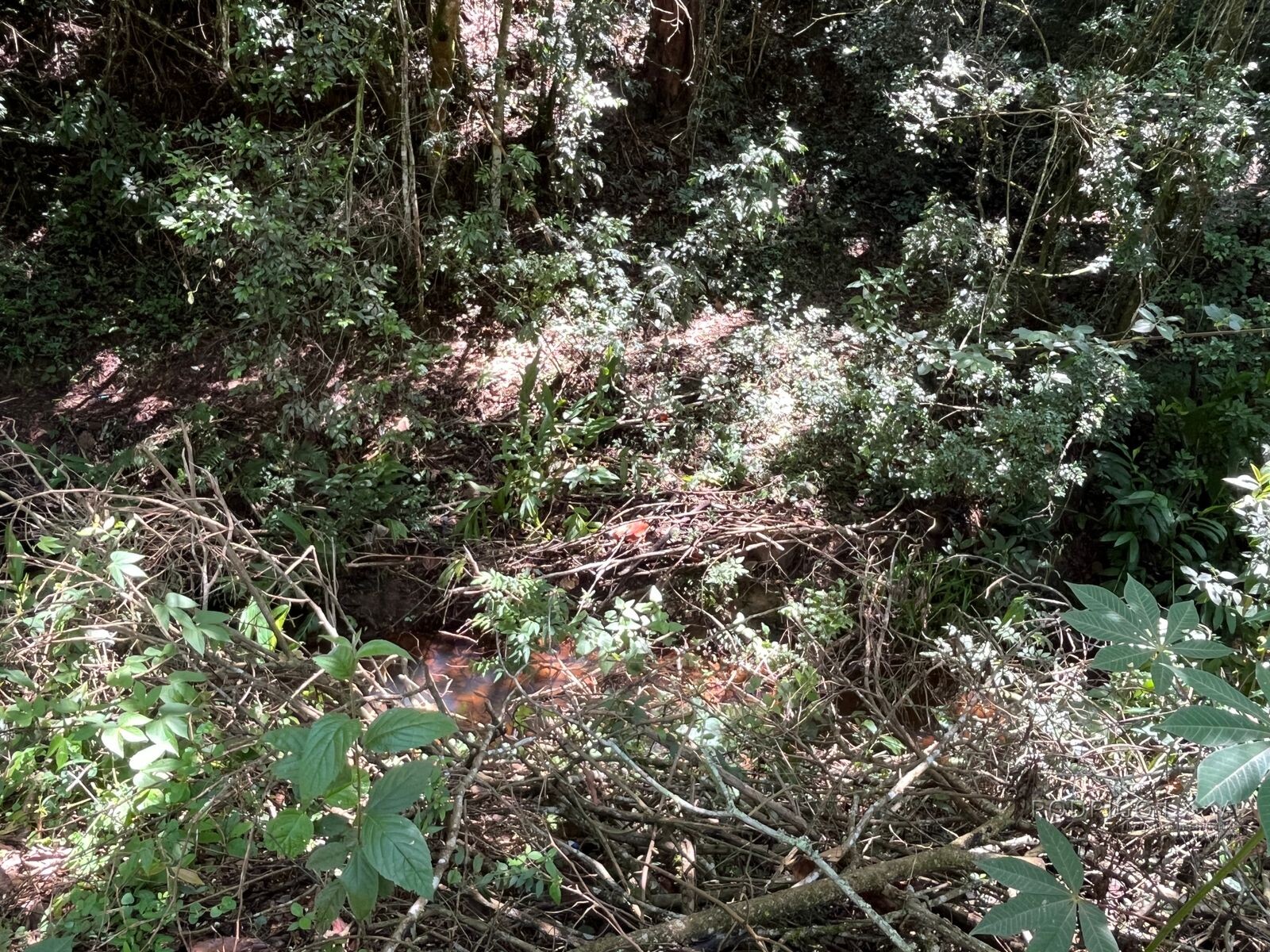 Chácara para venda 20 minutos de São Lourenço MG