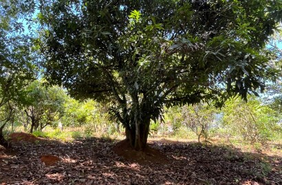 Chácara para venda 20 minutos de São Lourenço MG