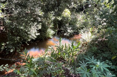 Chácara para venda 20 minutos de São Lourenço MG