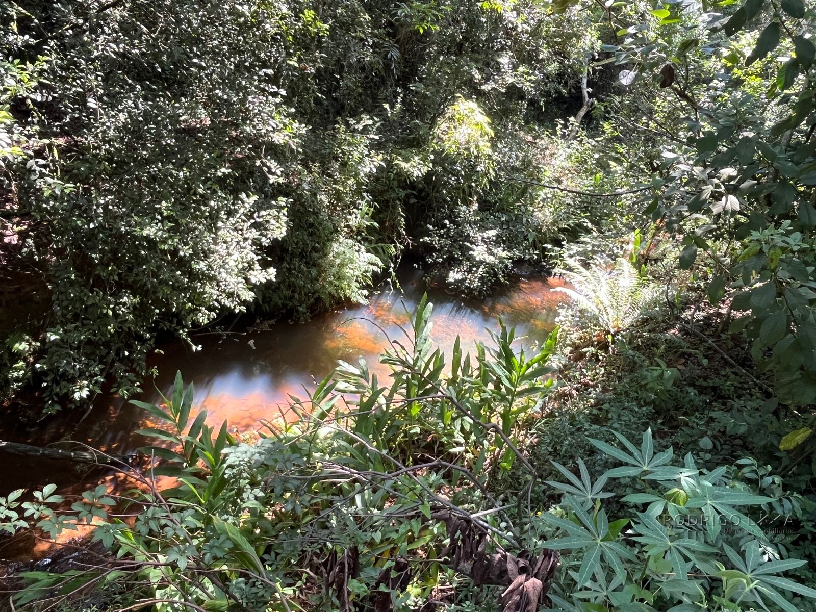 Chácara para venda 20 minutos de São Lourenço MG
