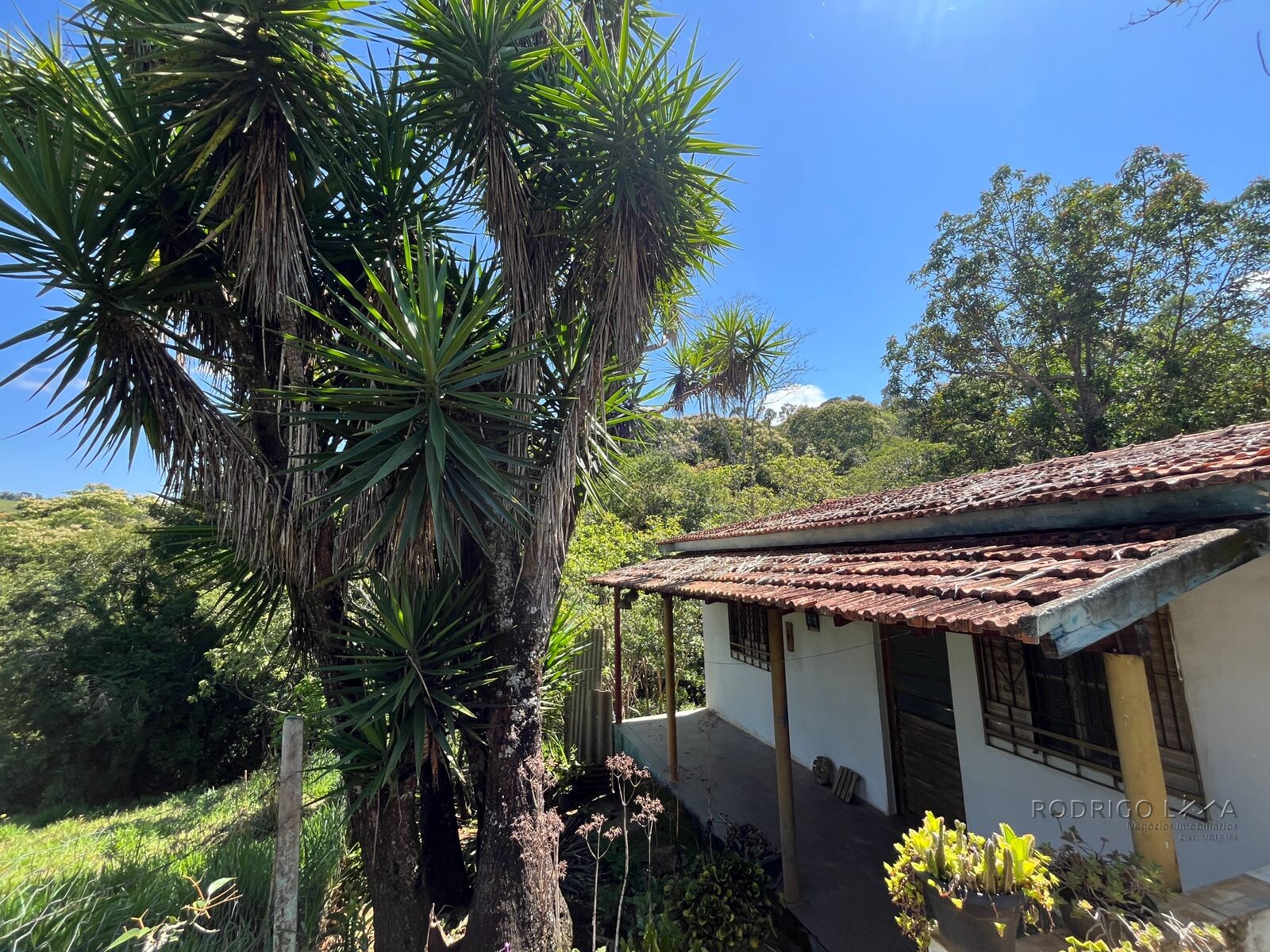 Chácara para venda 20 minutos de São Lourenço MG