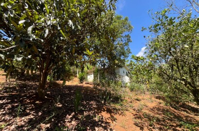 Chácara para venda 20 minutos de São Lourenço MG
