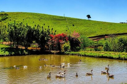 Fazenda para venda em Cambuquira Mg