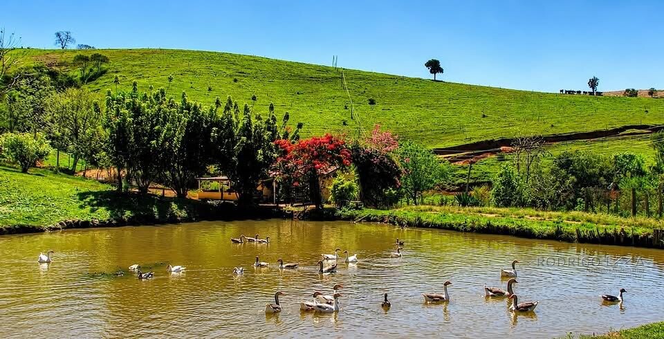 Fazenda para venda em Cambuquira Mg
