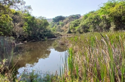 Fazenda para venda próximo a São Lourenço - mg
