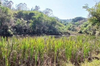 Fazenda para venda próximo a São Lourenço - mg