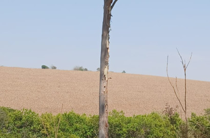 Fazenda para venda próximo a São Lourenço - mg
