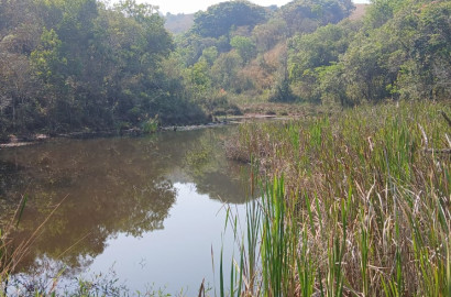 Fazenda para venda próximo a São Lourenço - mg