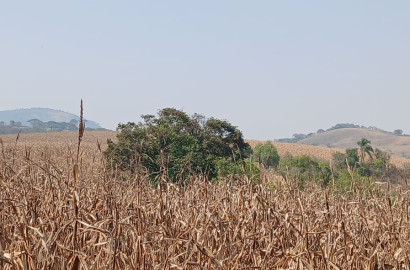 Fazenda para venda próximo a São Lourenço - mg