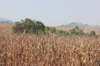 Fazenda para venda próximo a São Lourenço - mg