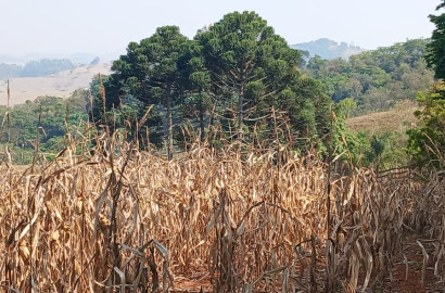 Fazenda para venda próximo a São Lourenço - mg