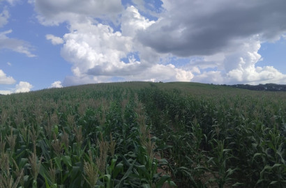Fazenda para venda próximo a São Lourenço - mg
