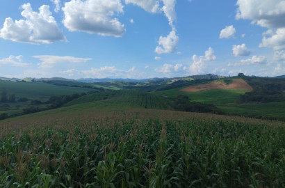Fazenda para venda próximo a São Lourenço - mg