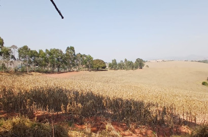 Fazenda para venda próximo a São Lourenço - mg