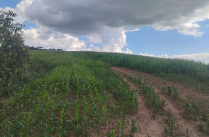 Fazenda para venda próximo a São Lourenço - mg