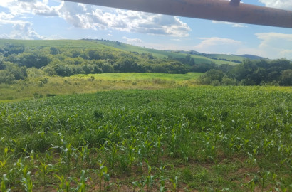 Fazenda para venda próximo a São Lourenço - mg