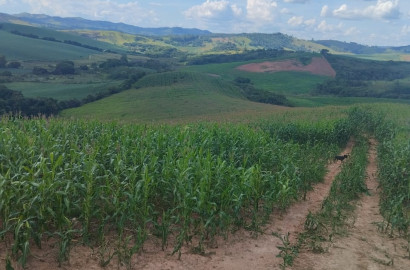 Fazenda para venda próximo a São Lourenço - mg